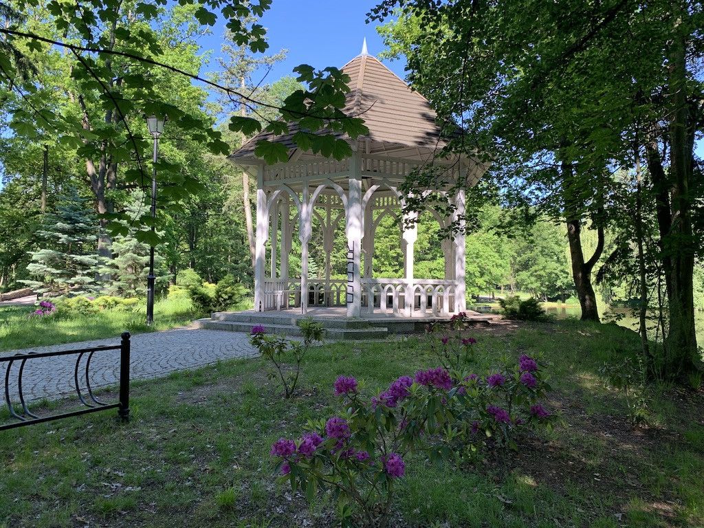 park-piekniejszy-w-dzien-czy-w-nocy-81702