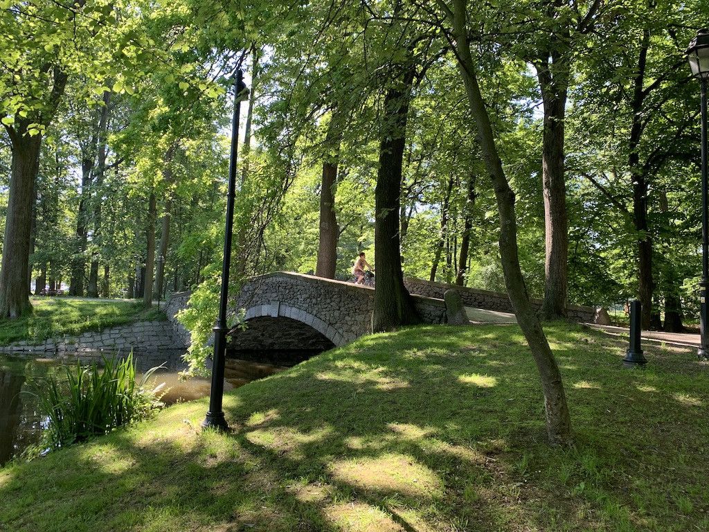 park-piekniejszy-w-dzien-czy-w-nocy-81702