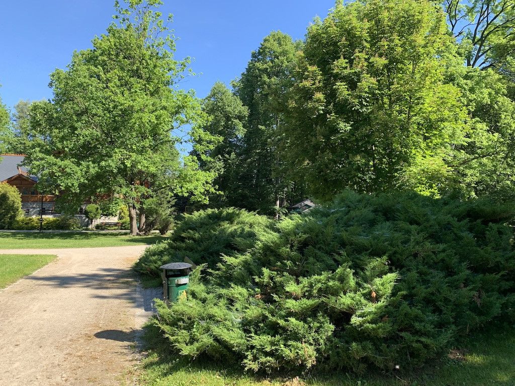 park-piekniejszy-w-dzien-czy-w-nocy-81702