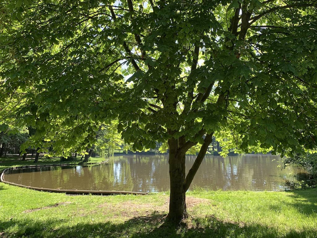 park-piekniejszy-w-dzien-czy-w-nocy-81702