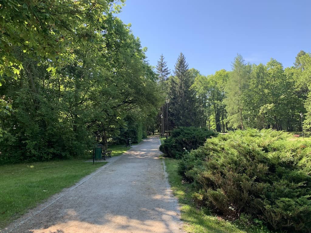 park-piekniejszy-w-dzien-czy-w-nocy-81702