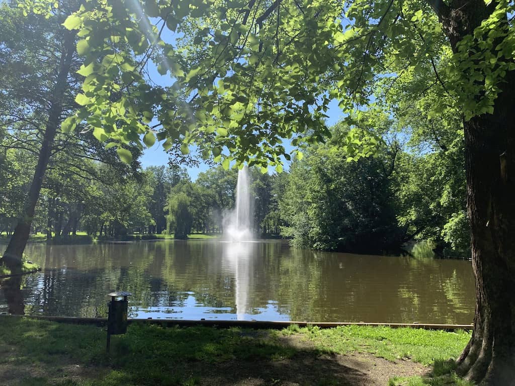 park-piekniejszy-w-dzien-czy-w-nocy-81702