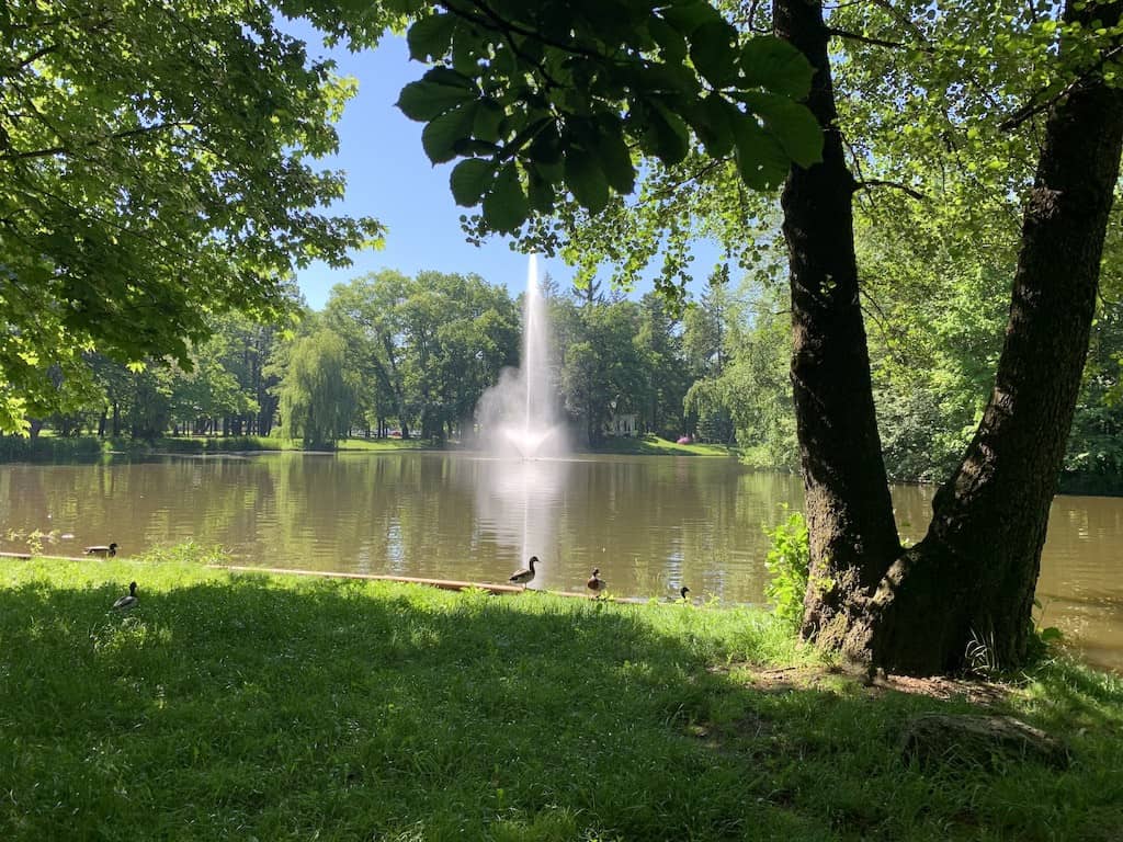 park-piekniejszy-w-dzien-czy-w-nocy-81702