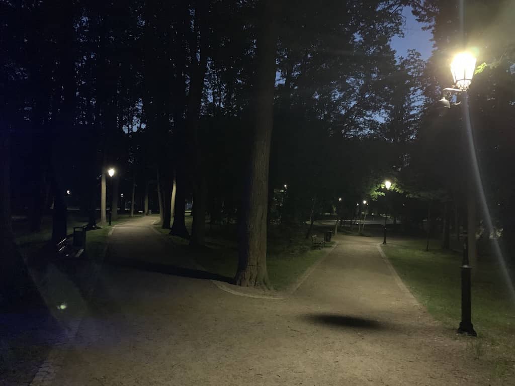 park-piekniejszy-w-dzien-czy-w-nocy-81702