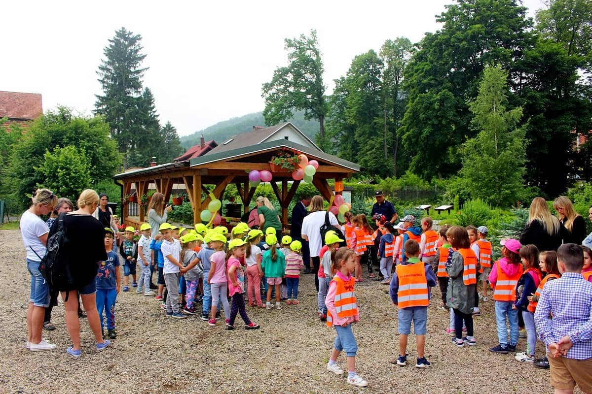 ekologicznie-w-dzpk-81740