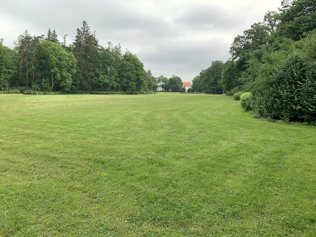 przybywa-kwiatow-w-parku-zdrojowym-81782