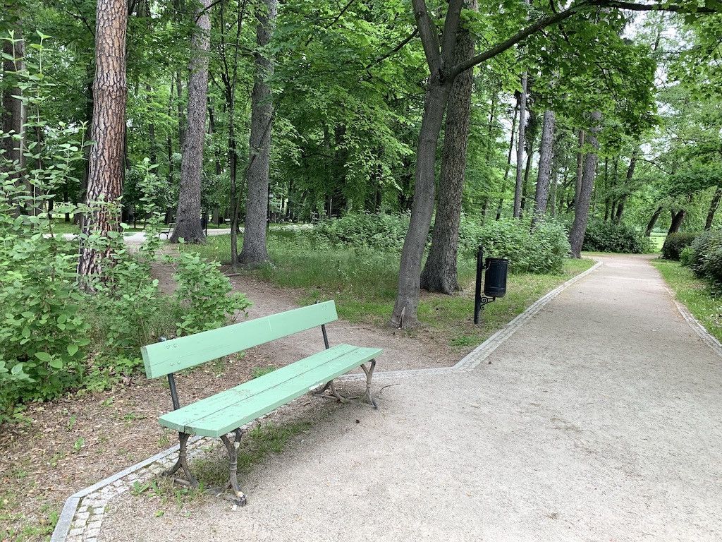 przybywa-kwiatow-w-parku-zdrojowym-81782