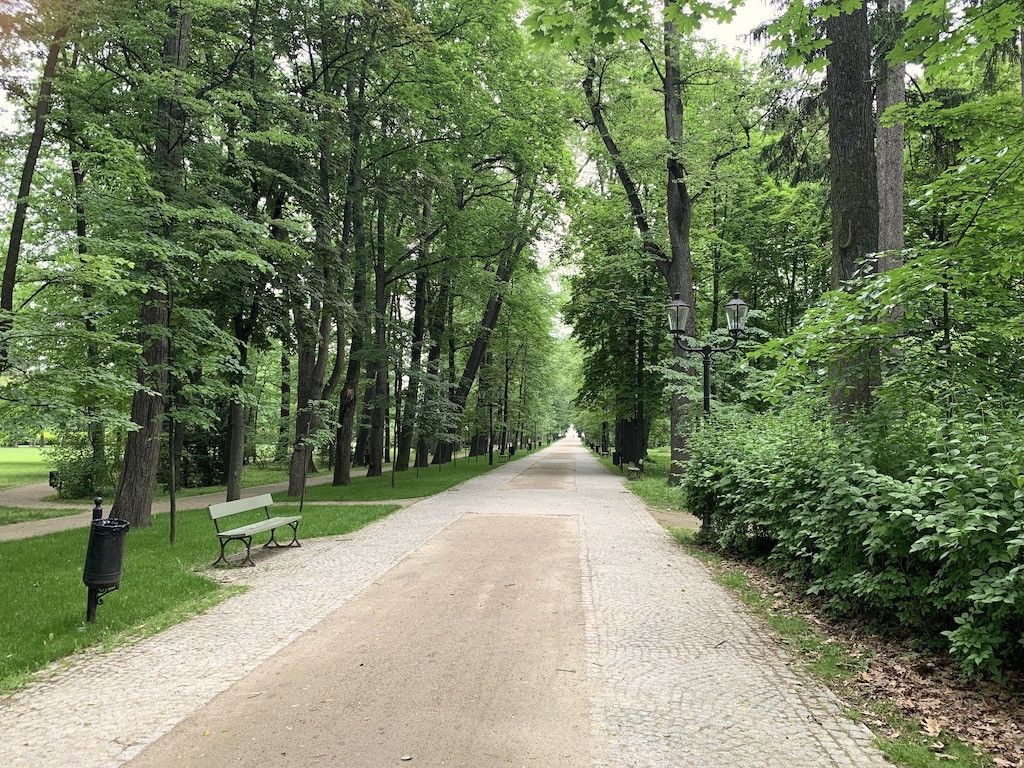 przybywa-kwiatow-w-parku-zdrojowym-81782