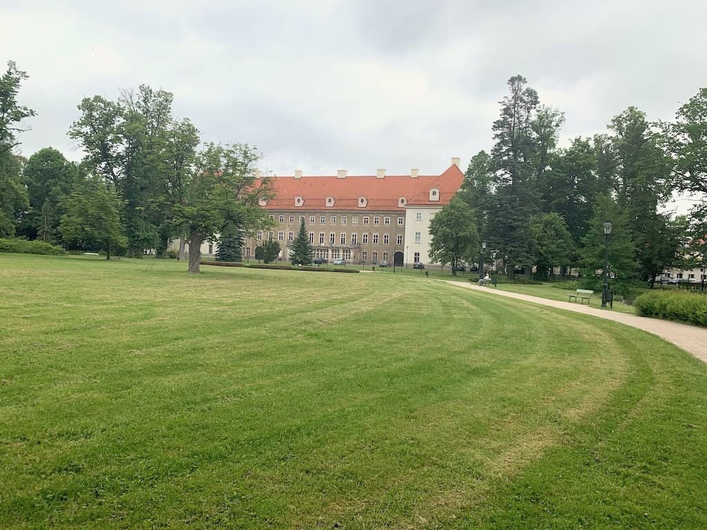 przybywa-kwiatow-w-parku-zdrojowym-81782