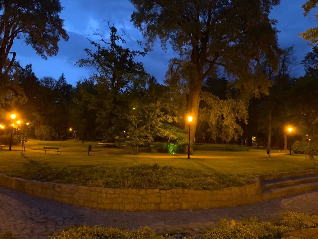 przybywa-kwiatow-w-parku-zdrojowym-81782