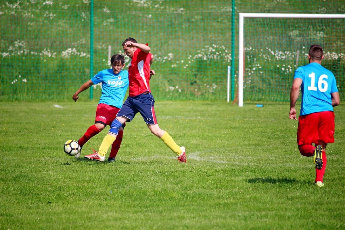 hit-kolejki-dla-gosci-81786