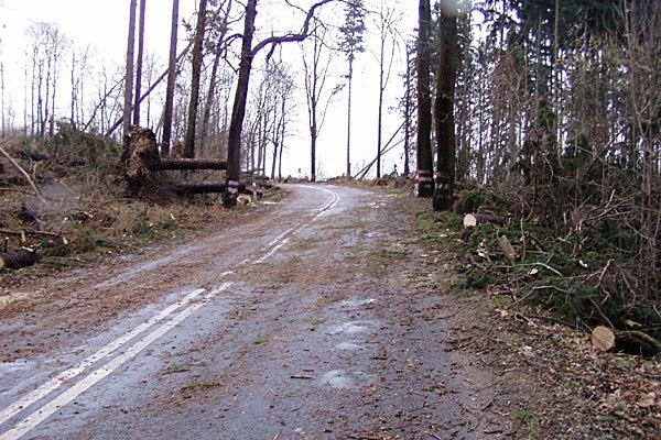 huragan-narozrabia-suzby-posprzataja-8186