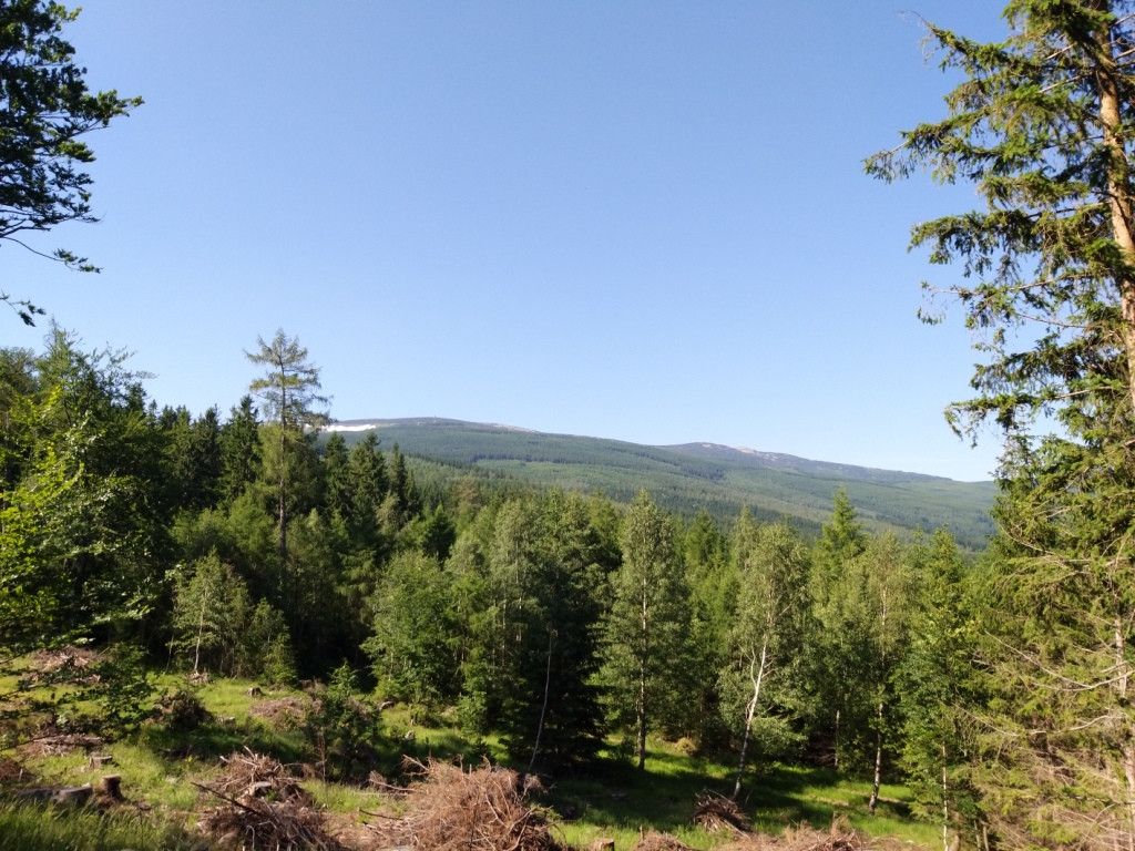 na-szwedzkie-skay-wysikiem-niemaym-81945