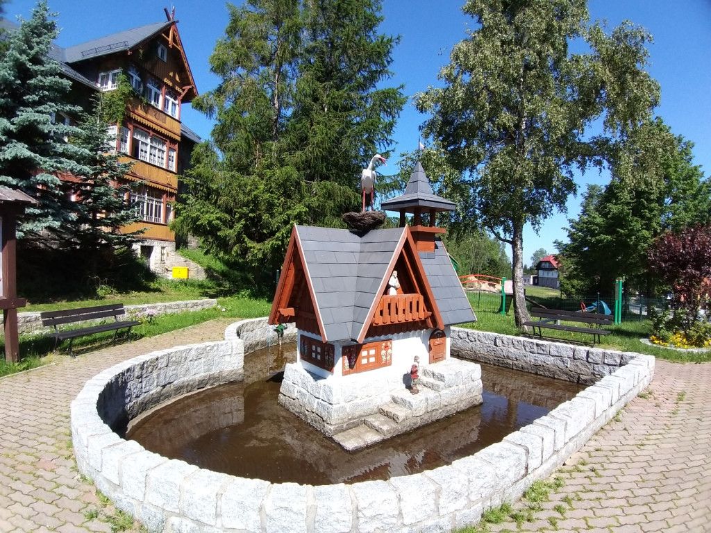 na-szwedzkie-skay-wysikiem-niemaym-81945