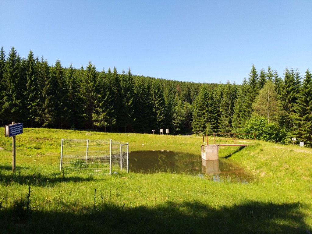 na-szwedzkie-skay-wysikiem-niemaym-81945