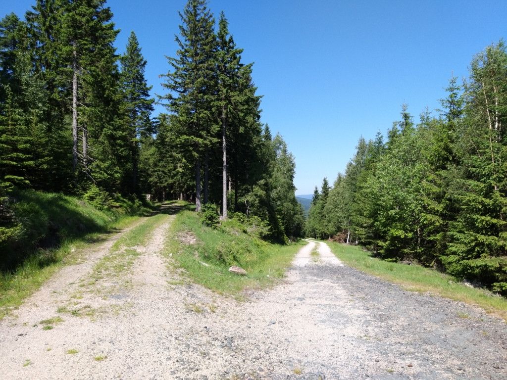 na-szwedzkie-skay-wysikiem-niemaym-81945
