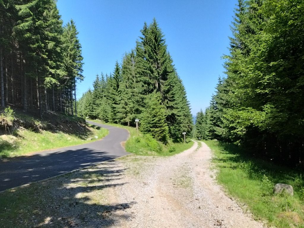 na-szwedzkie-skay-wysikiem-niemaym-81945