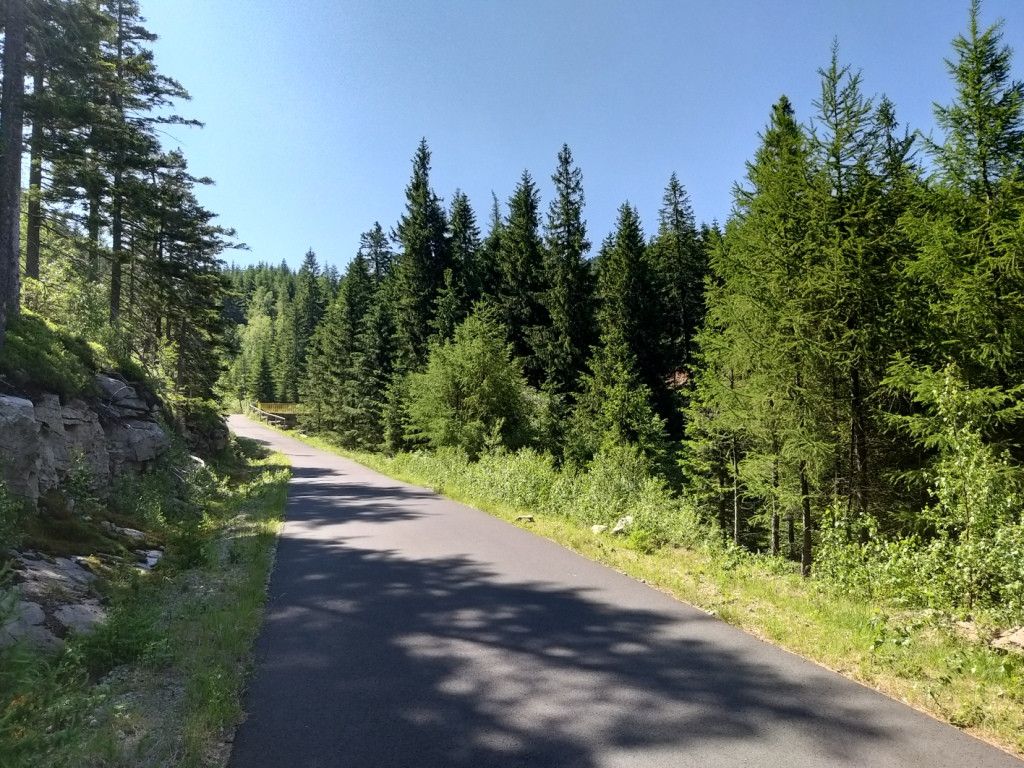 na-szwedzkie-skay-wysikiem-niemaym-81945
