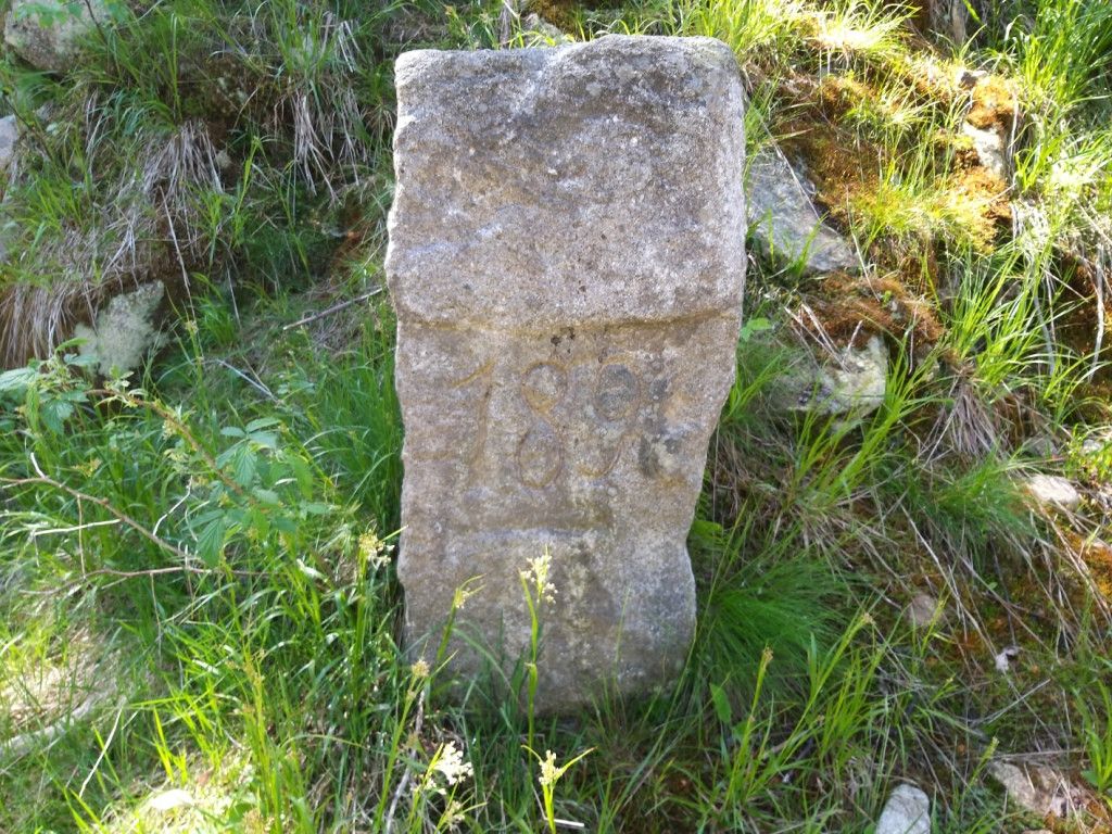 na-szwedzkie-skay-wysikiem-niemaym-81945