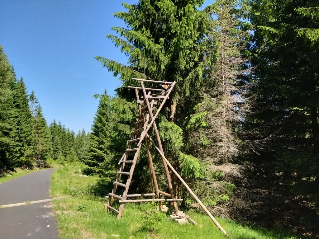 na-szwedzkie-skay-wysikiem-niemaym-81945