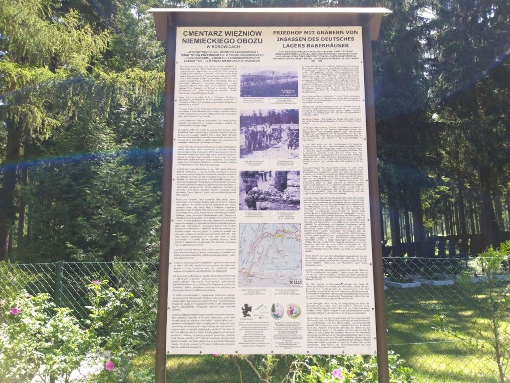 na-szwedzkie-skay-wysikiem-niemaym-81945