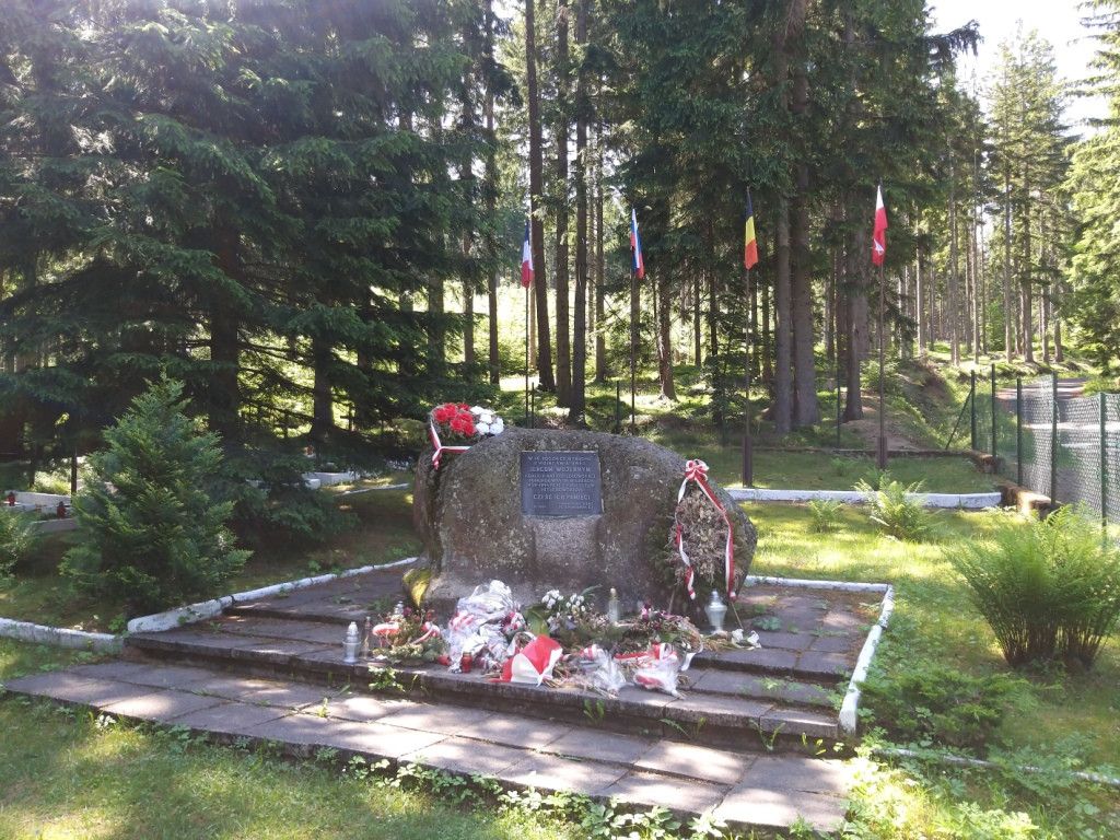 na-szwedzkie-skay-wysikiem-niemaym-81945