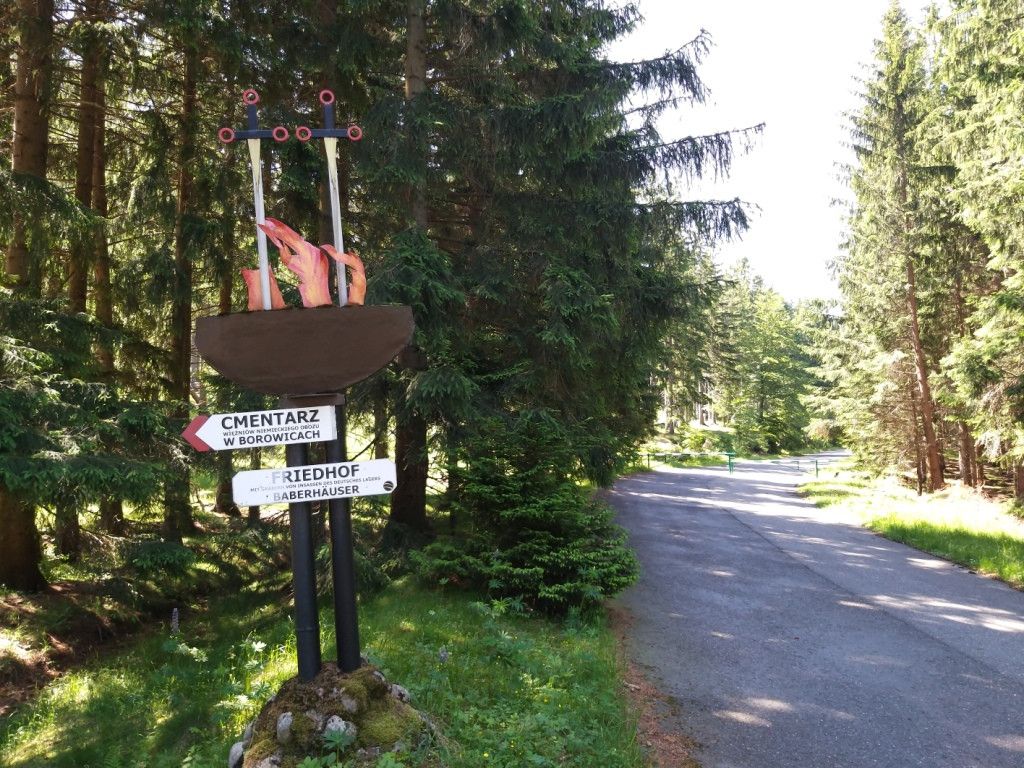 na-szwedzkie-skay-wysikiem-niemaym-81945