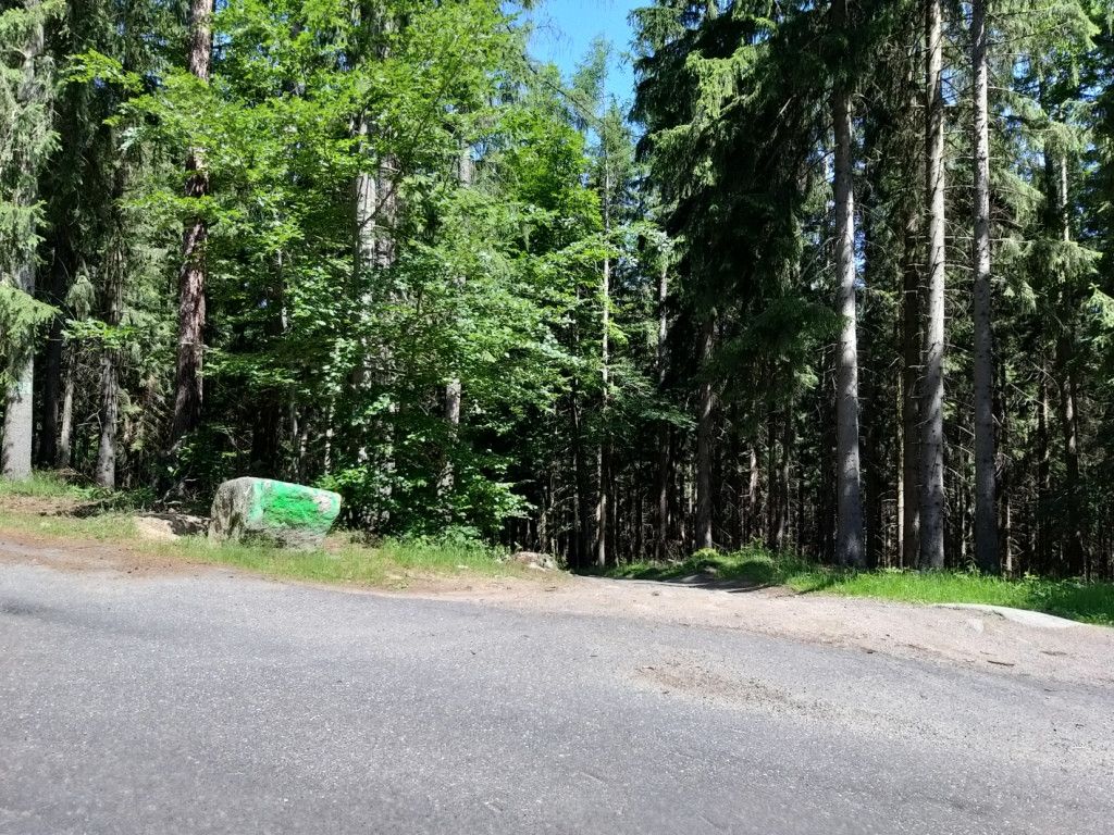na-szwedzkie-skay-wysikiem-niemaym-81945