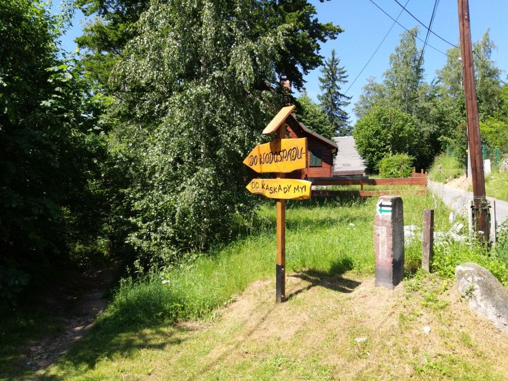 na-szwedzkie-skay-wysikiem-niemaym-81945
