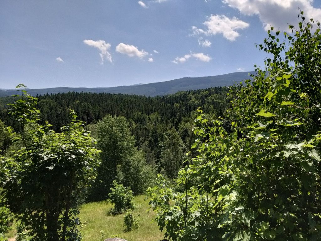 na-szwedzkie-skay-wysikiem-niemaym-81945