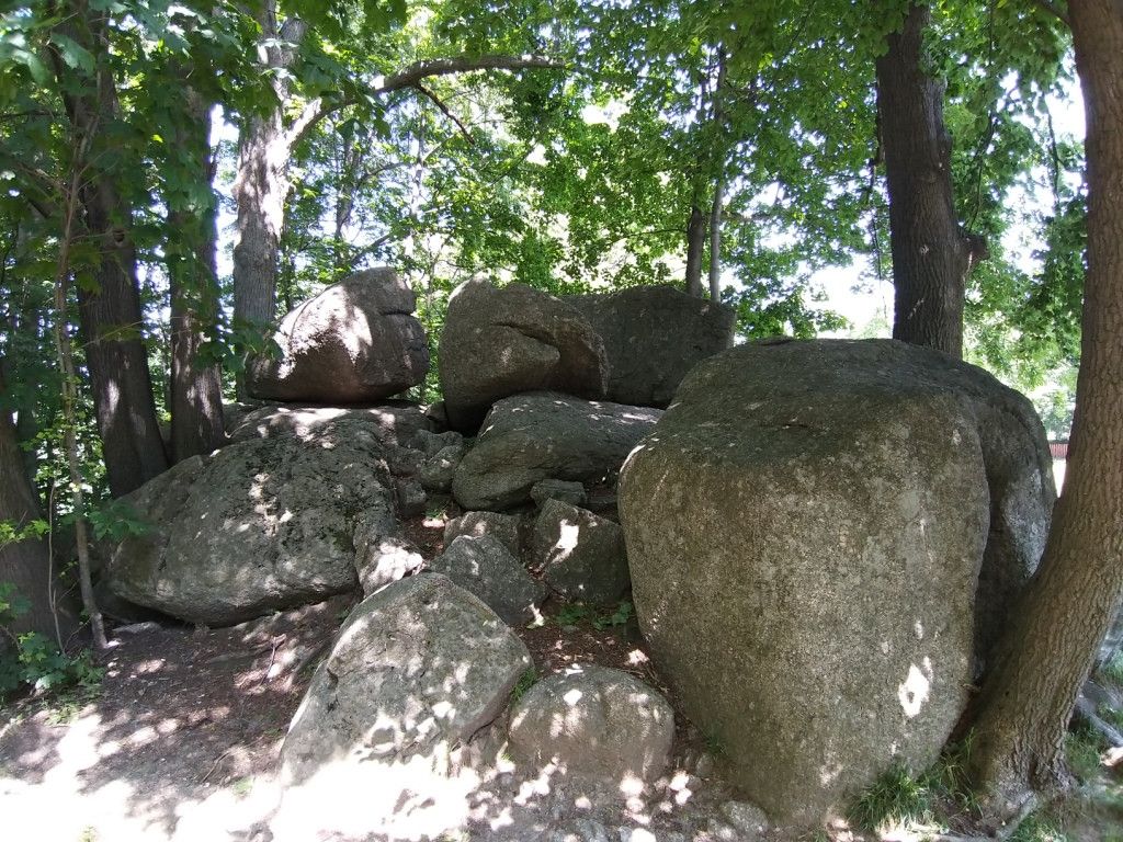 na-szwedzkie-skay-wysikiem-niemaym-81945
