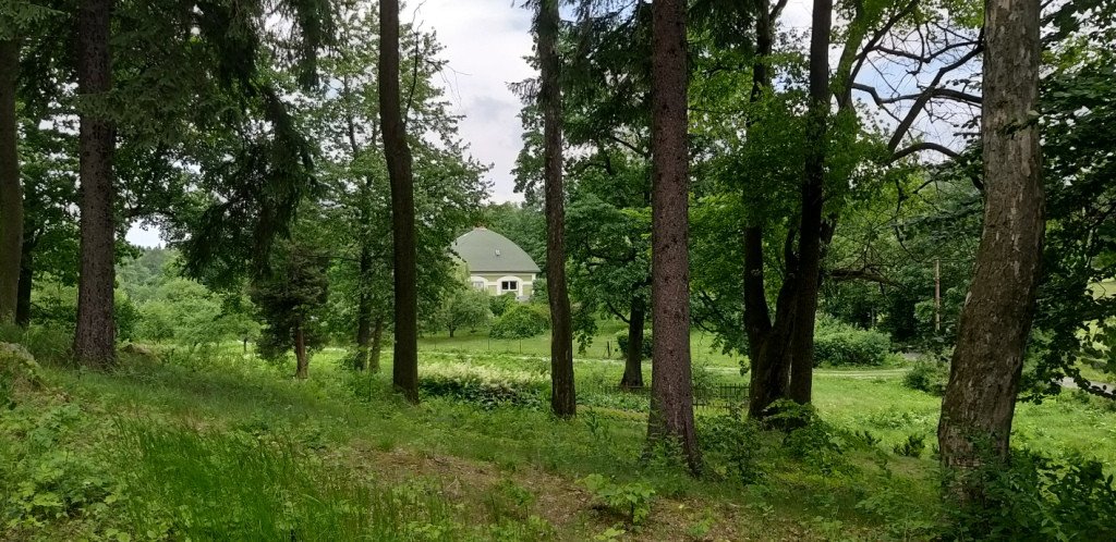 romantycznie-lub-z-rodzina-przez-bukowiec-82044