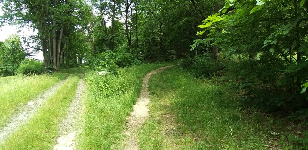 romantycznie-lub-z-rodzina-przez-bukowiec-82044