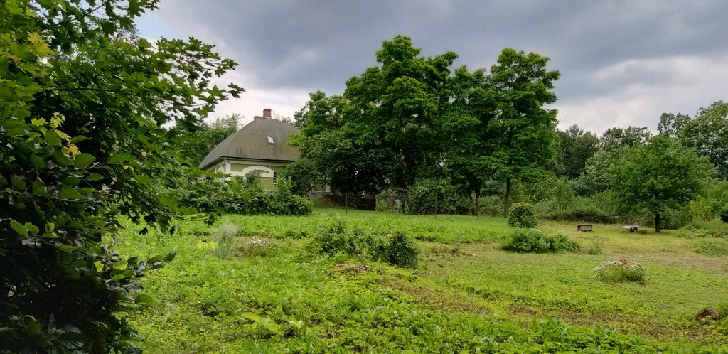 romantycznie-lub-z-rodzina-przez-bukowiec-82044