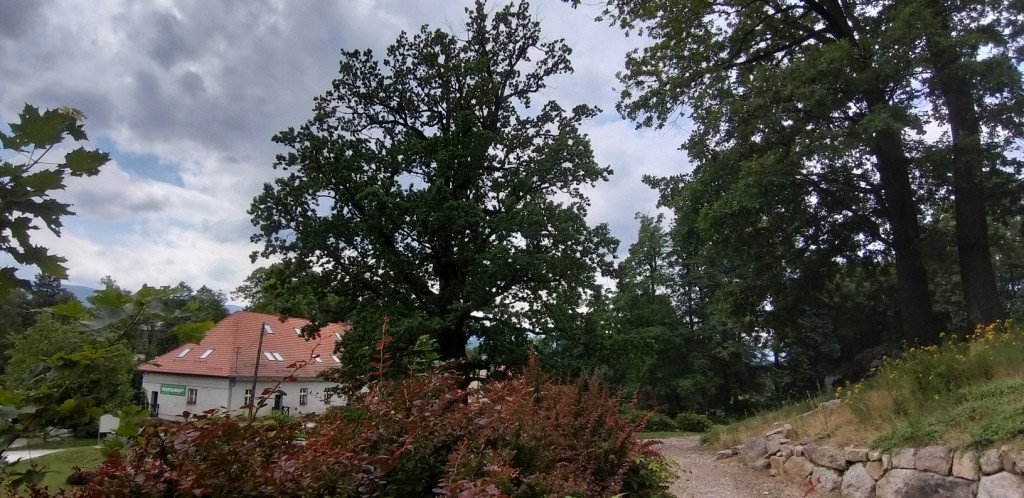 romantycznie-lub-z-rodzina-przez-bukowiec-82044