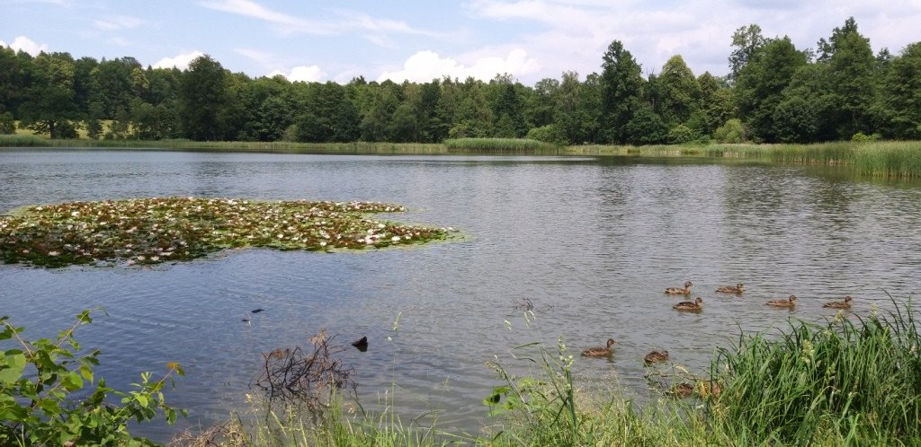 romantycznie-lub-z-rodzina-przez-bukowiec-82044