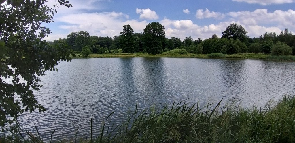 romantycznie-lub-z-rodzina-przez-bukowiec-82044
