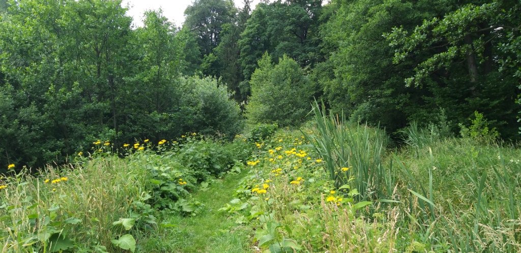 romantycznie-lub-z-rodzina-przez-bukowiec-82044