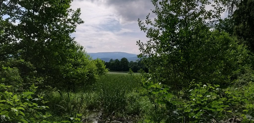 romantycznie-lub-z-rodzina-przez-bukowiec-82044
