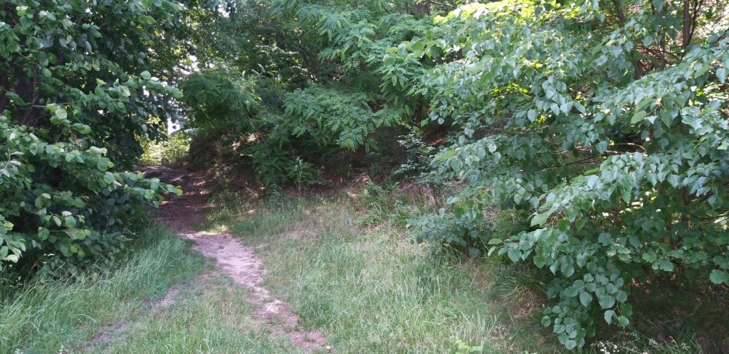 romantycznie-lub-z-rodzina-przez-bukowiec-82044