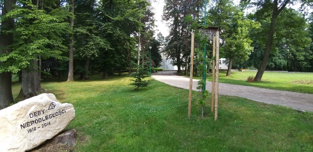 romantycznie-lub-z-rodzina-przez-bukowiec-82044