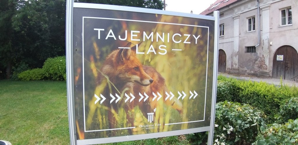 romantycznie-lub-z-rodzina-przez-bukowiec-82044