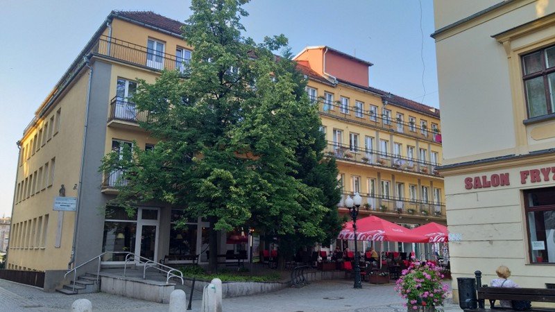 roj-pszczo-na-placu-piastowskim-82062