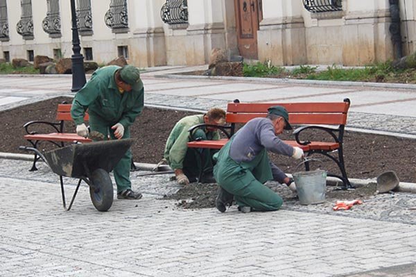 Rośliny na klombach zostaną posadzone w późniejszym terminie.