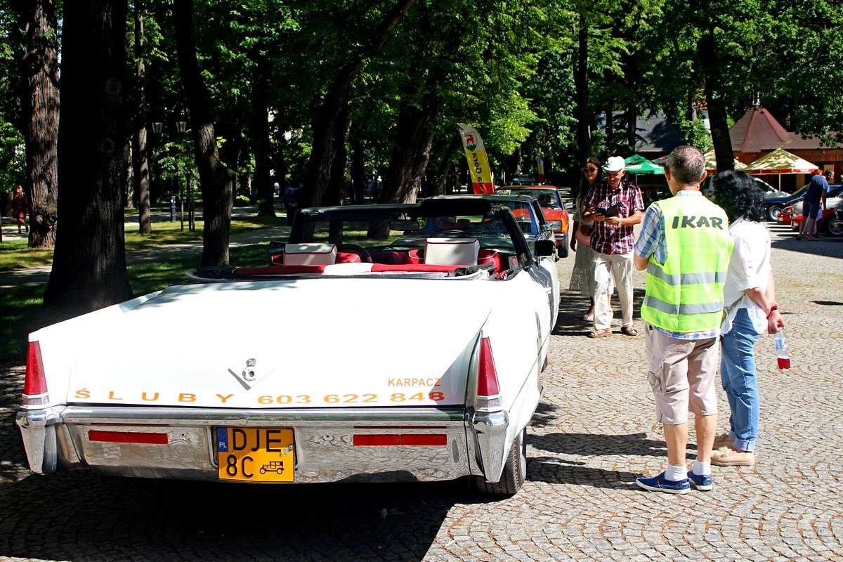 pereki-motoryzacji-w-cieplicach-82106