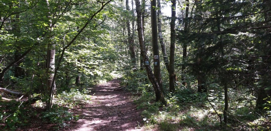 przez-bobrowe-skay-do-goduszyna-82162