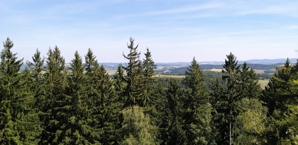 przez-bobrowe-skay-do-goduszyna-82162