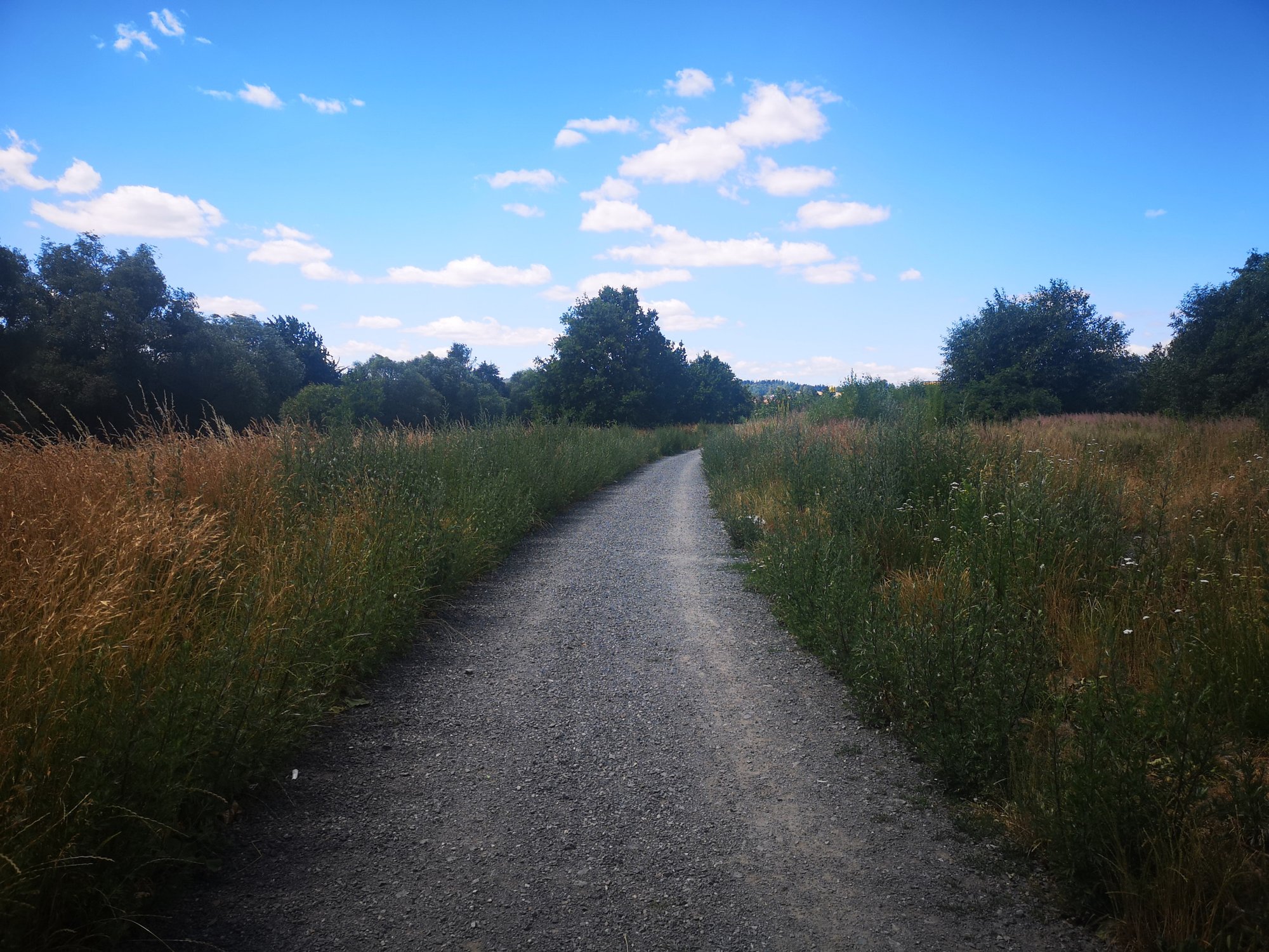 jest-wykonawca-ii-etapu-promenady-bobru-82212