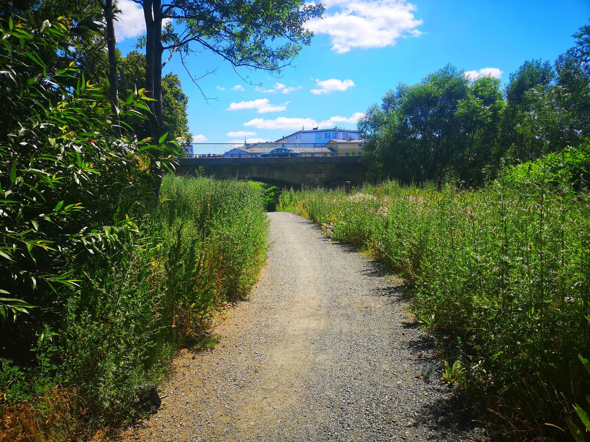 promenada-bobru-ktorego-nie-widac-82217