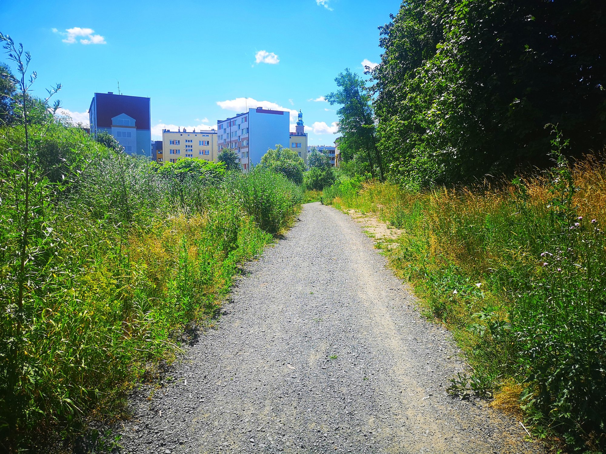 promenada-bobru-ktorego-nie-widac-82217